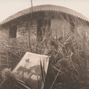 The photo cottage